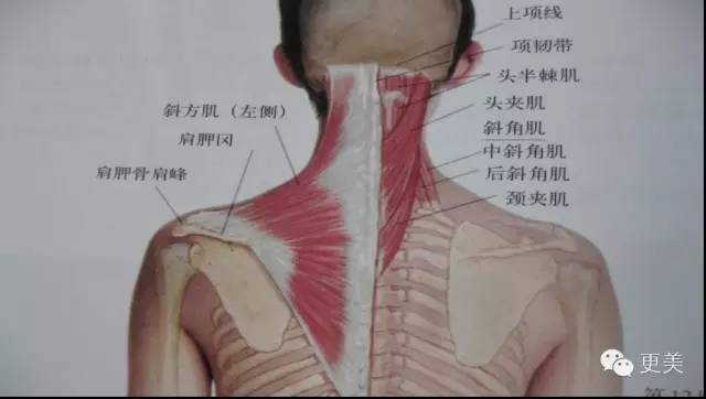 宋慧乔刘亦菲，在时装周上竟然都输给了不到1米6的她! - 情感天地 - 上饶新闻网-上饶新闻-上饶日报-上饶新闻门户网站