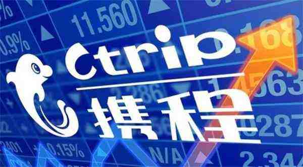 收入证明_净营业收入(2)