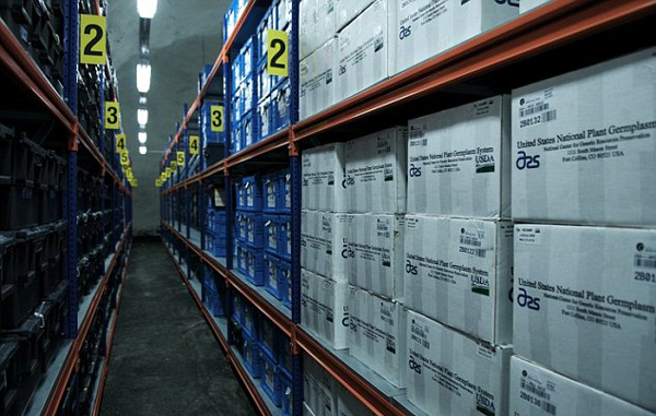 世界末日种子库再添5万份种子样本 保护其远离