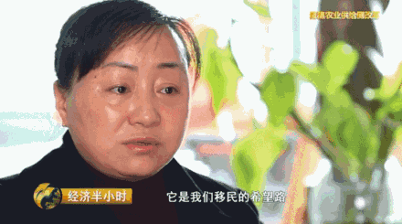 葛晓红,湖南省保靖县副县长,也是迁清公路指挥部指挥长,当时迁清公路的项目就是她在担任保靖县交通局局长时争取过来的。