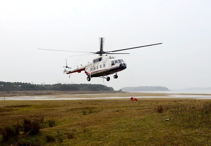 南航护林系统咸宁航站全力处置阳新县龙港镇森