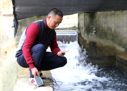 梁平区冷水鱼养殖基地: 鲟鱼达人用一湾山泉