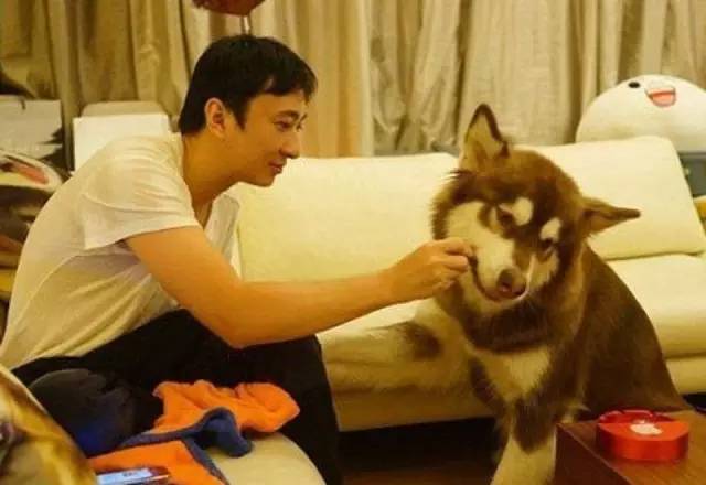 王思聪前任女友现状：有的年入上亿，有的变卖包包为生...一步登天没那么容易啊！