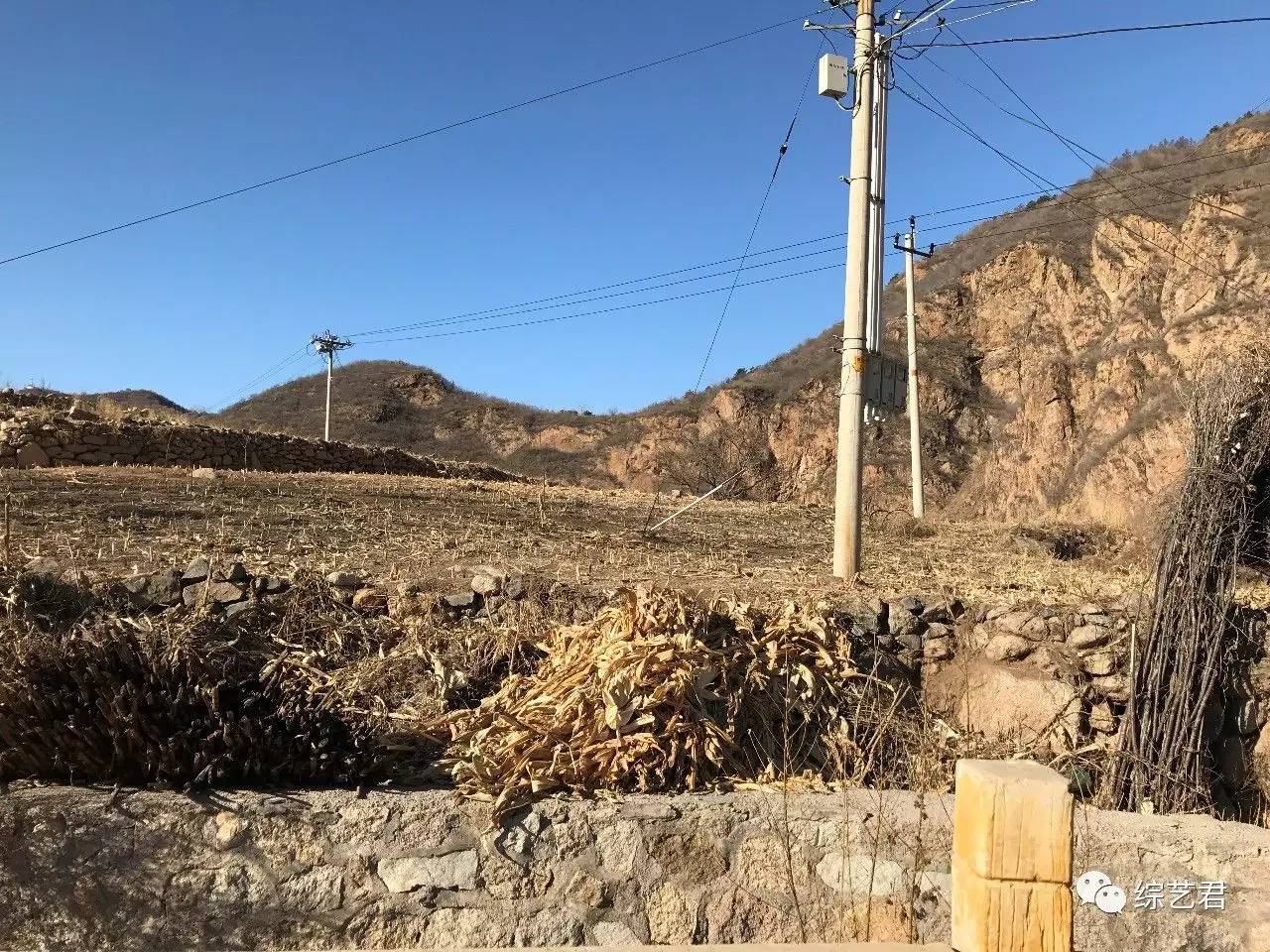 去了趟这节目 何炅免费主持黄磊做饭还相了个