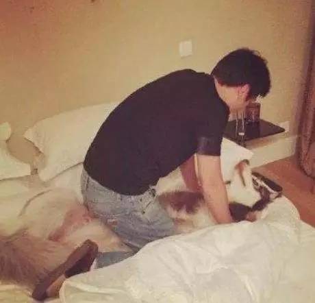 王思聪前任女友现状：有的年入上亿，有的变卖包包为生...一步登天没那么容易啊！