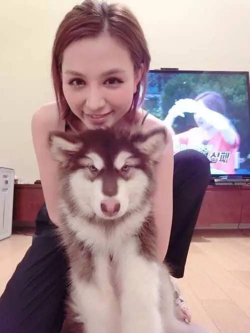 王思聪前任女友现状：有的年入上亿，有的变卖包包为生...一步登天没那么容易啊！