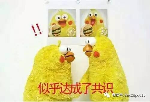 王思聪前任女友现状：有的年入上亿，有的变卖包包为生...一步登天没那么容易啊！