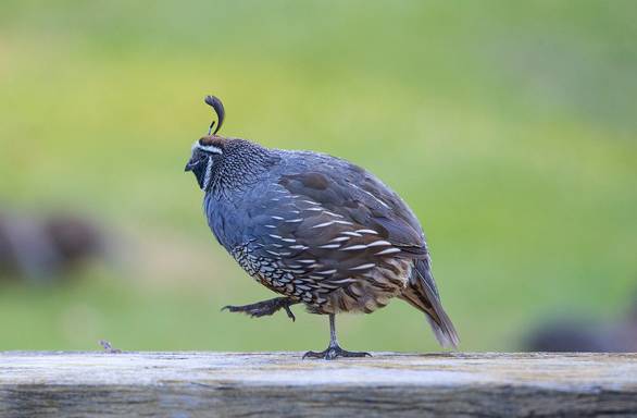 发行时就买定增基金?至少亏损7%!_财经头条