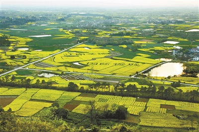 南京市高淳区慢城建设集团领导班子成员招聘公