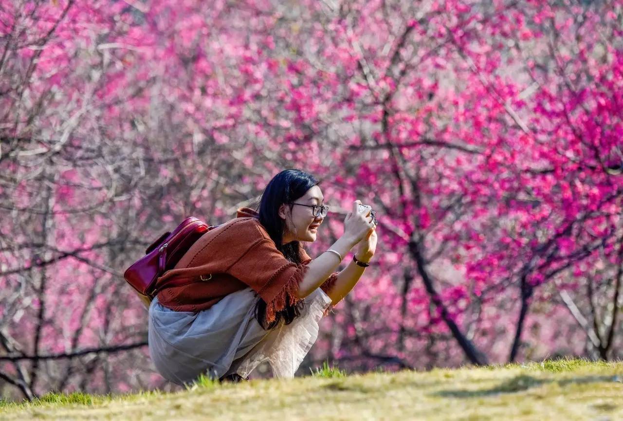 等闲识得东风面,万紫千红总是春