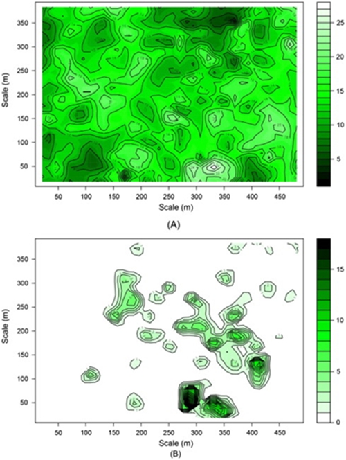 版纳植物园发现雪灾造成的林冠破损促进外来杂
