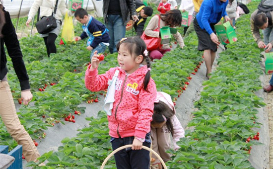 宁化做好旅游+文章 乡村旅游市场火爆