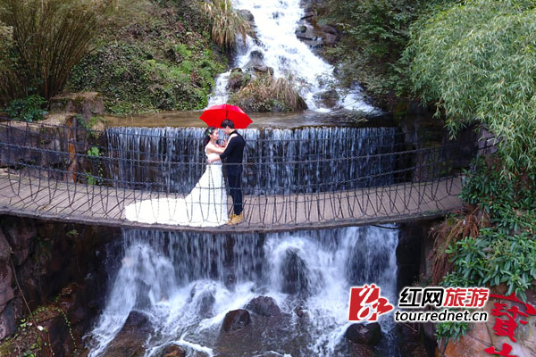 【博文头条】发福利啦!推广给潜在粉丝满2减1