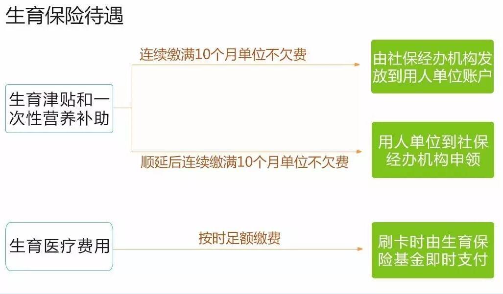 生育保险没缴满10个月,生孩子的费用能报销吗