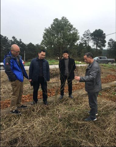 重庆市云阳县审计局加大外资审计现场复核力度