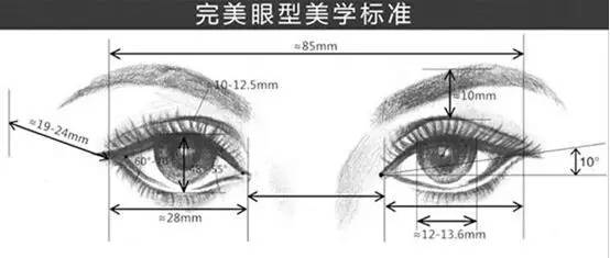 完美眼型美学标准