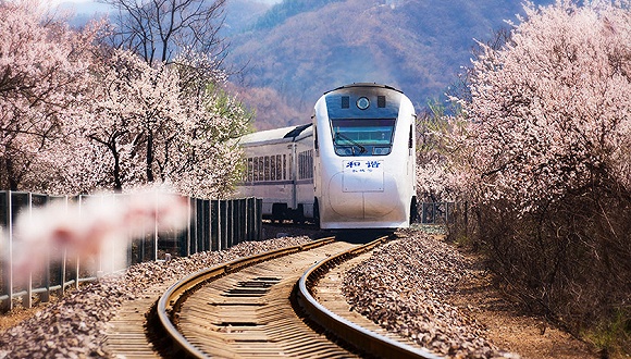 自身如何增加收入_横沥田饶步村：盘活资源增加村民收入