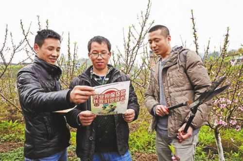 忠县新立镇:创业政策送上门