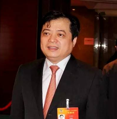 全国政协常委南存辉建言新能源与民间投资