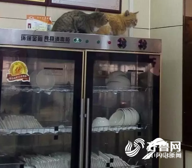 山东锈石