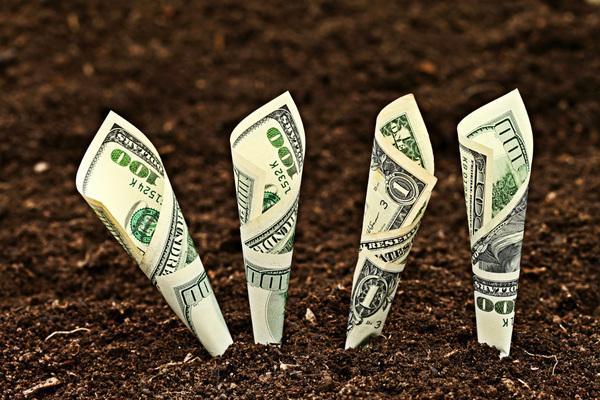 小编告诉你网申信用卡到底有多少的额度?