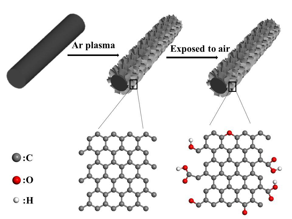 课题组在碳基电催化剂研究方面取得重要进展(
