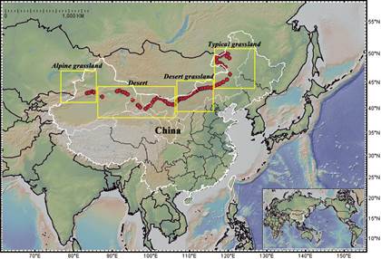 沈阳生态所在中国北方干旱区草地土壤细菌多样