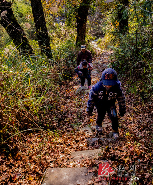 靖州:教书匠坚守山村39年