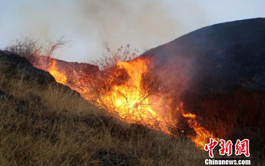 四川雅江县境内发生森林火灾