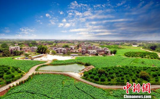湛江农村太阳能路灯_湛江农村收入第一