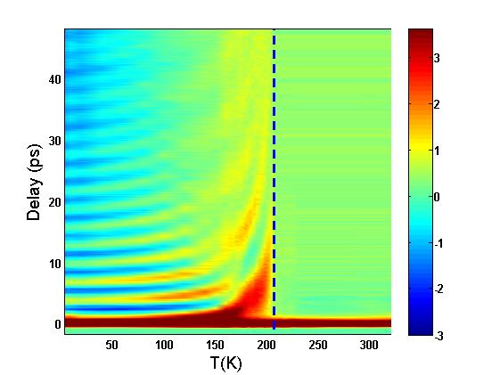 王楠林课题组在《物理评论快报》发表关于电荷