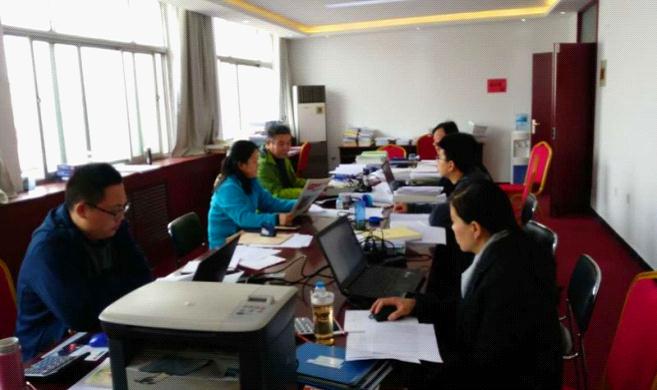 河南新乡市审计局审计项目临时党小组学习全国