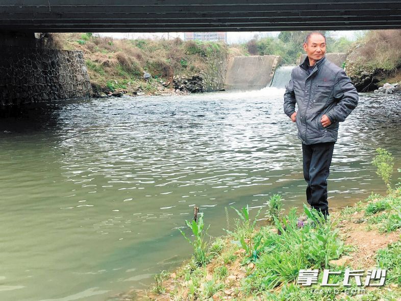 老人捕到娃娃鱼 为它寻求 保护伞