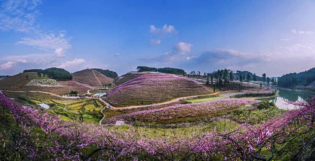 三生三世最美苗家女舞霓裳 杨西音子家乡唱响
