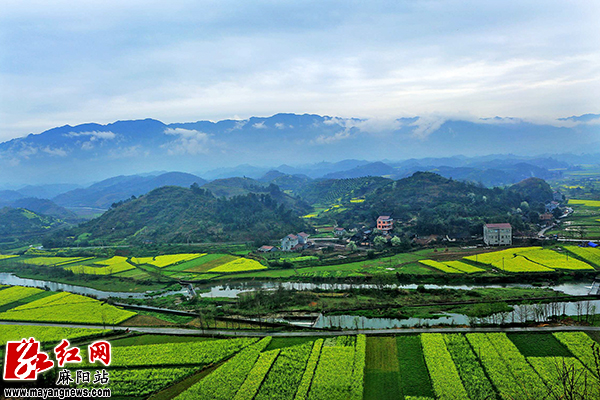 武穴加微信附近人100元3小时靠谱吗