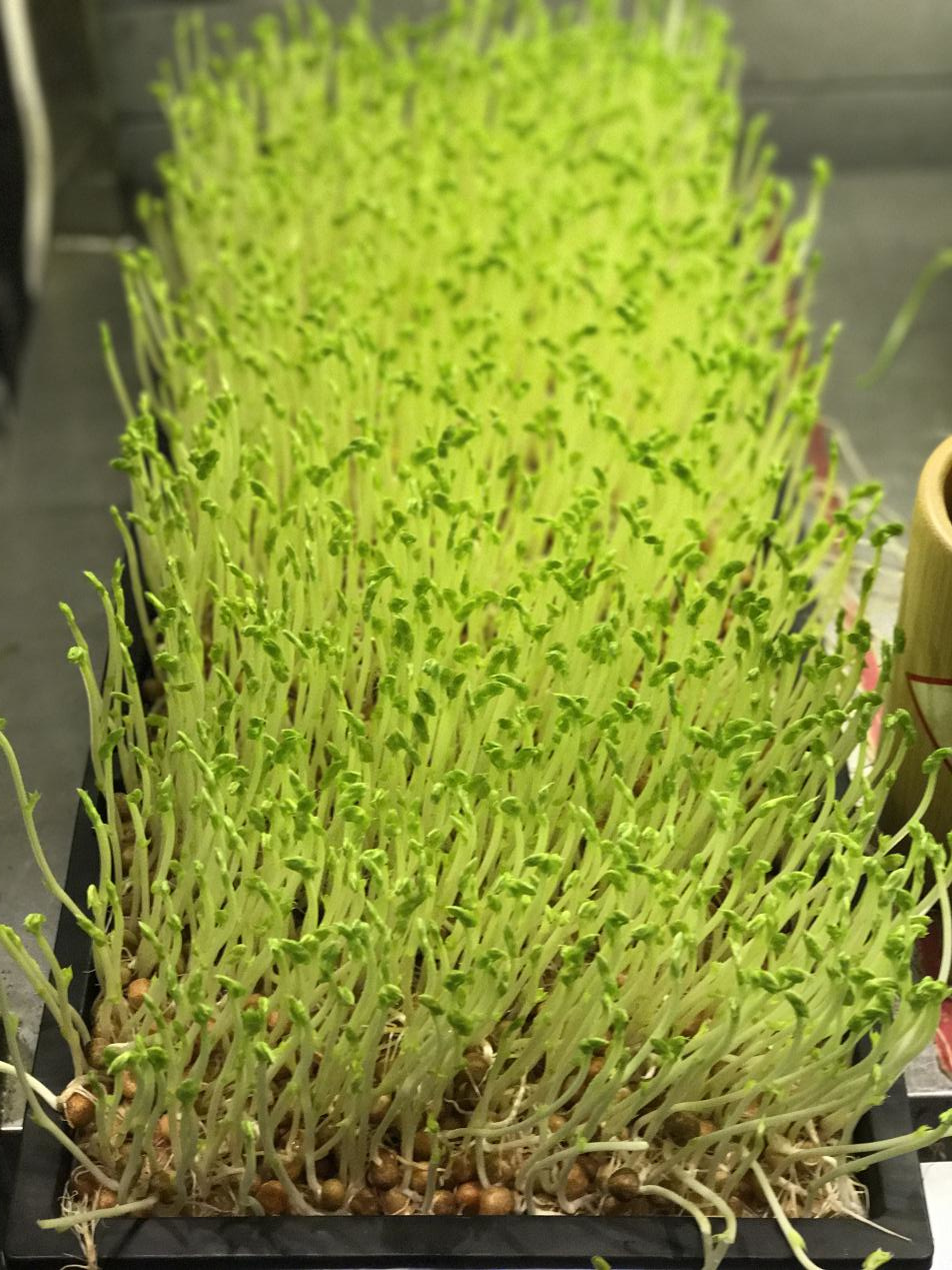 特色湘菜加盟连锁品牌火爆全国