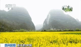 作为一处经典的喀斯特地貌地形区,溶洞,峡谷,瀑布,峰林等多种喀斯特