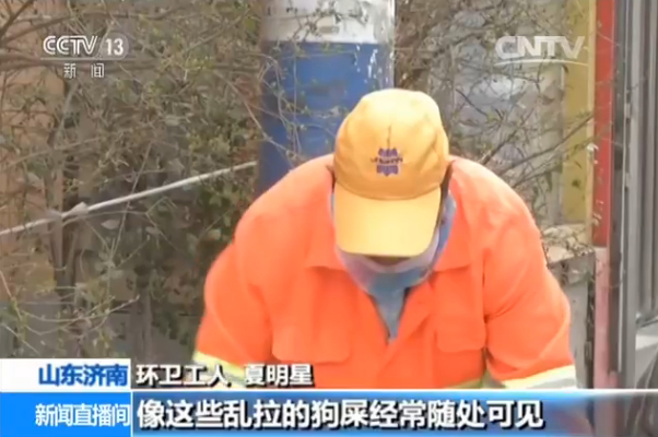 不文明养犬行为引争议 城市养犬该怎么管?