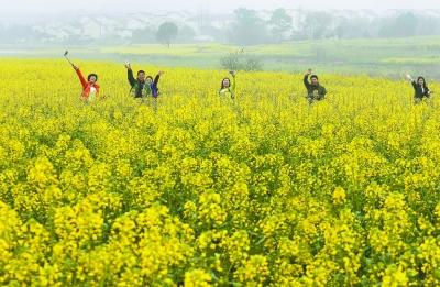 昨天，我市高淳区万亩油菜花盛开，市民和游客穿梭在金色的花海里，尽情享受着春天。本报通讯员 刘列 本报记者 吴彬摄