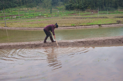 增加农民收入措施_新趋势：农民最挣钱！不赔钱增加额外收入的方法！