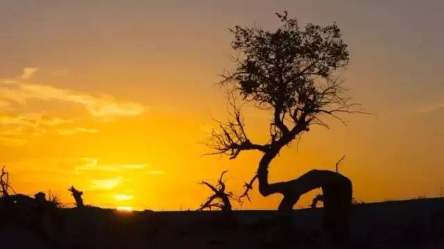 中国地名谜语,你能猜出几个?