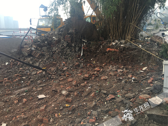 大溪沟一工地现1.5米菜花蛇 被送往野生动物救