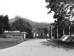 点击放大