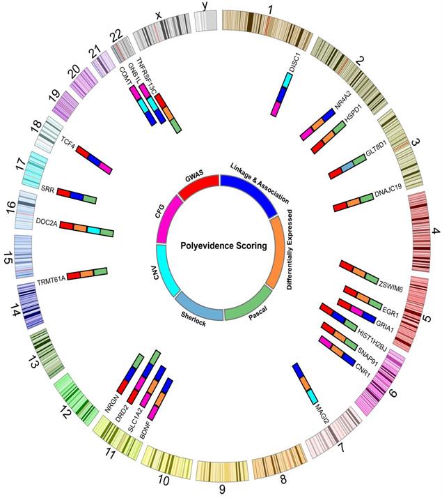 昆明动物所开发出精神分裂症遗传研究数据库S
