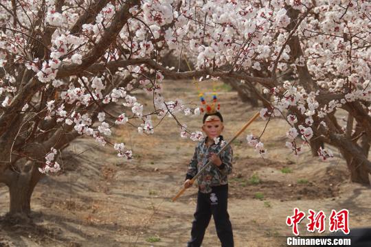 图为一名小男孩带着“孙悟空”面具在杏花树下拍照。 袁晶 摄