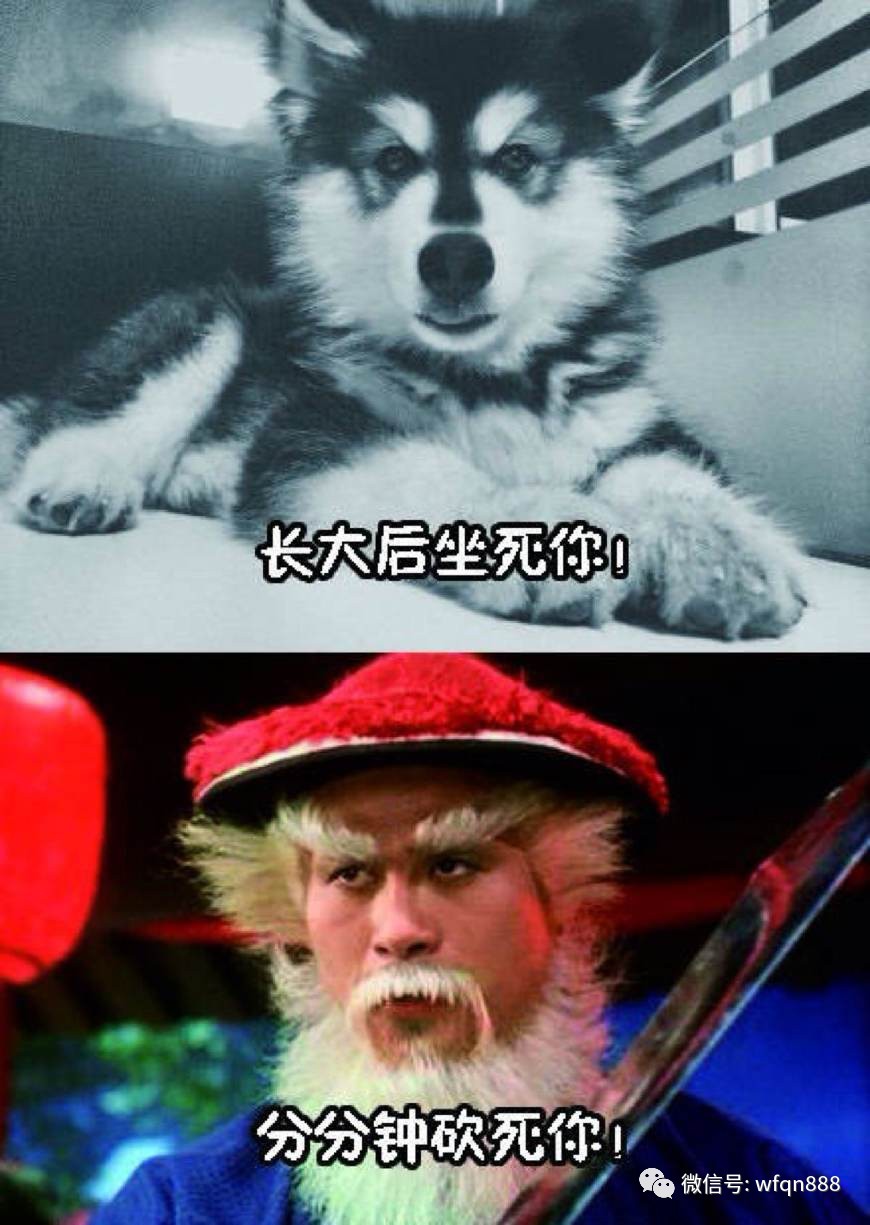 康熙在逮捕鳌拜之后,要杀鳌拜可谓易如反掌,为何却没