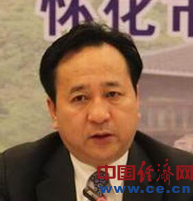 怀化市政府原副市长杨开凤降为正处级 公款聘
