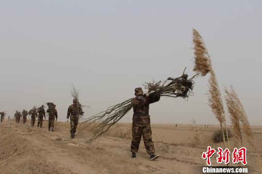 图为幸福农场职工正在搬运树苗。 李桃 摄
