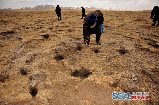 若尔盖县gdp_重点生态功能区县取消GDP考核后：生态保护要求更高了(2)