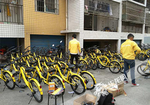 小黄车二维码变脸了? 警察蜀黍告诉你这是新